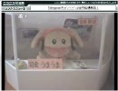 ウシ生