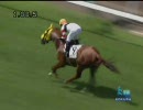 2歳未勝利_ホッコータキオン