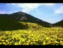 「エール」を歌ってみた(アカペラ）