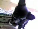宇宙～Qoo～　　はてな顔　