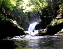 渓流水中動画09