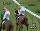 積丹特別_ディバインフレイム