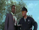In the heat of the night　4/8