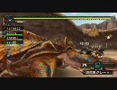 【MHP2G】実況　Xlink　VS　ハンターズフェスタ　25