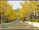 ラジオ深夜便　深夜便のうた拾遺集　～2009年度より～