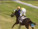 2歳新馬（牝）_エアデュシェス