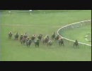 【競馬】内、フェリシア伸びちゃった！