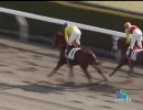 3歳未勝利_マルタカタキオン
