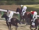 3歳未勝利（牝）_チェイスバニヤン