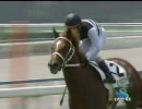 3歳未勝利_バンブーウエファ