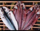 【実況プレイ】ふね太郎・12【時々紙芝居】