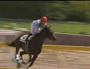 3歳未勝利（父）_ナムラバンダム