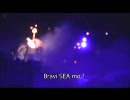 【TDS】ブラヴィッシーモ！【SHOW】