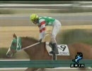 3歳未勝利_サーブユアセルフ