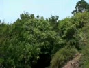 平戸「志々伎山」Hirado [Mountain Shijiki]