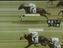 3歳未勝利_ケイアイハイタイド