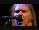 Neil Young - A Day In The Life