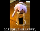 たこルカを楽器にしてみたい（太陽電池編）