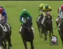 3歳未勝利_キングタキオン