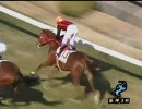 2歳未勝利_エイシンチョーテン