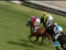 2歳新馬（牝）_リマレックス