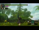 【MHP2G】アップロードテスト【プレイ動画】