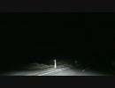 ２００９年　６月２７日　群馬県深夜の志賀草津道路でカモシカ撮影