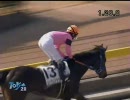 3歳未勝利_リーサムクラウン