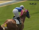 4歳上500万_メイショウアンドレ