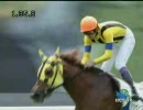 3歳未勝利（牝）_ハッピープレゼント