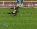 3歳未勝利_レッズフィールド