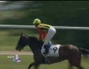 4歳上500万（牝）_センシュアルドレス