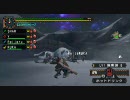 [MHP2G]A.H.O.S団が行く！part2～もう一人の自分～(VC付き)