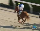 2歳未勝利_ブルーデライト