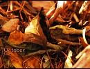[高野寛] October