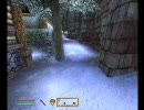 Oblivion プレイ動画 林檎追走記『首狩り斬姫が往く』 第九話