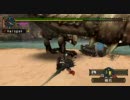 【MHP2G】狩人のための葬礼ランス音閃光罠爆弾なし【ディア編】