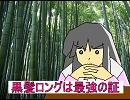 【東方】てるりんのカリスマなんとか室Ａ’ｓ【後悔１回目】