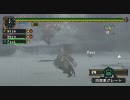 [MHP2G]テスト2