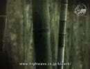 Bleach - サムライジャングル