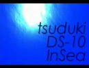 DS-10/InSea