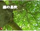 【オリジナルインスト曲】 森の息吹 【ヒーリング】