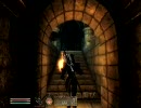 【oblivion】ウェスタヲリでいく暗殺ギルドの旅7【FEZ】