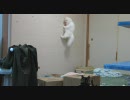ノル3匹 #249「ジャンプ！」