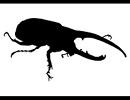 カブトムシ ロック？アレンジ 歌あり