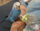 ペットボトルに大興奮①