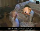 君は犬! 私は人!