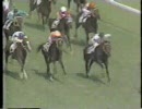 競馬　題名 ”今年のG1を振り返る”　騎手インタビューあり