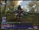 【FF11】マーリドシソロ【動画うｐテスト】