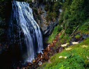 nature sound (自然音)